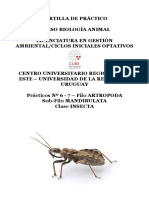Cartilla Insectos-2019