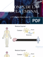 Lesiones de La Medula Espinal