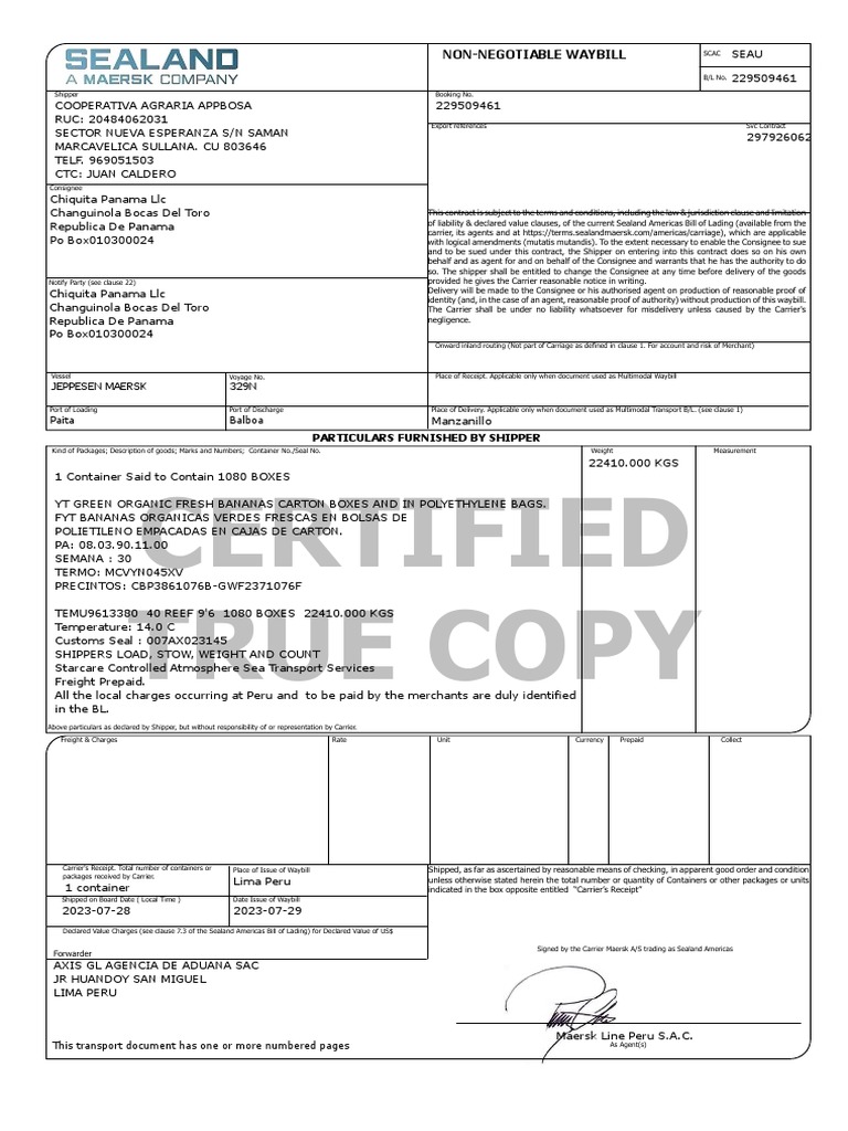 Certified True Copy NonNegotiable Waybill PDF Bill Of Lading