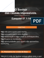 O Senhor Das Causas Impossiveis V2