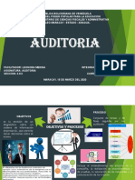 Auditoria Mapa Mental PDF