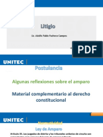 Material de Apoyo Algunas Reflexiones Sobre El Amparo Litigio 22-3