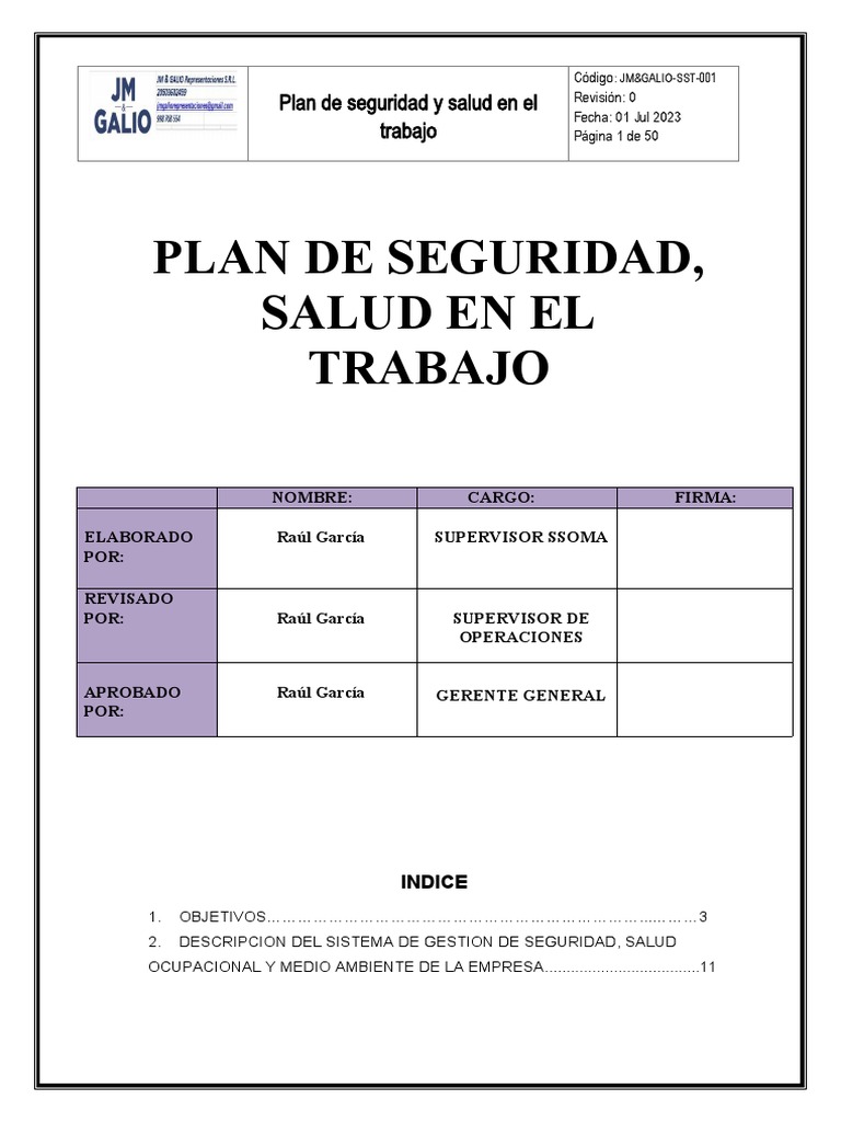 Plan de Seguridad y Salud Laboral 2023 | PDF | Seguridad y salud ...