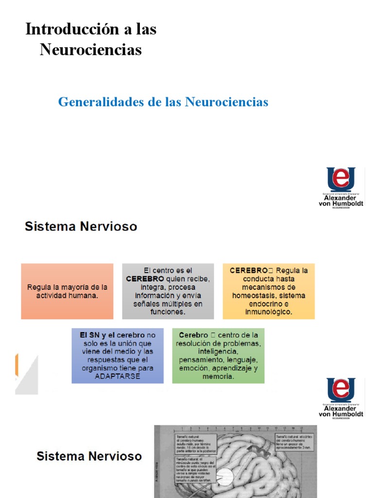 1 Introducción A Las Neurociencias | PDF | Mente | Aprendizaje