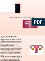 sistema reproductor femenino.