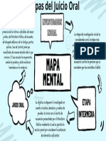 Mapa Metal Etapas de Juicio Oral