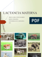 Lactancia Materna - JC