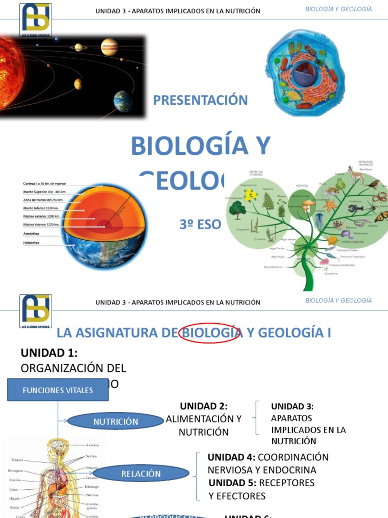 3 ESO Unidad 3 Aparatos Implicados en La Nutrición Parte II PDF