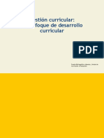 Gestión Curricular, Un Enfoque de Desarrollo Curricular PDF