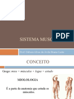 Aula 04 - Sistema Muscular