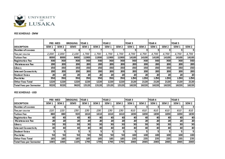 Medicine Fees 2022 PDF Higher Education Service Industries