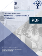 Actividad 1. INSUCELesionesNueva Carpeta Con ElementosActividad 1. Lesiones Deportivas - Pptxsiones Deportivas