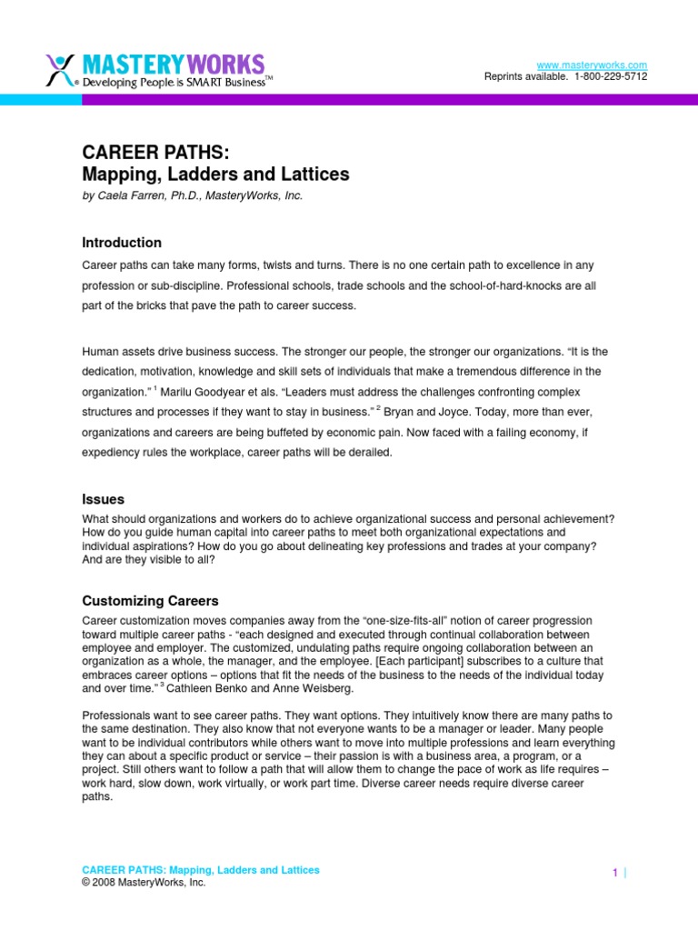 Career Paths Mapping Ladders Lattices PDF Employment Turnover