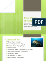 Palau Dugongs