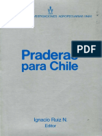 Libro Praderas para Chile Ruiz