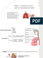 Anatomía y Fisiología Del Aparato Respiratorio