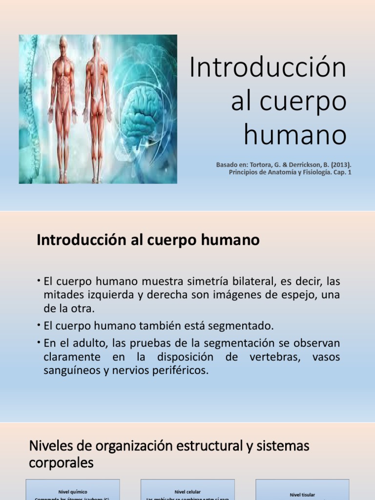 Introducción al Cuerpo Humano | PDF | Cuerpo humano | Organismos