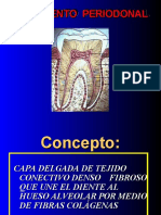 Lig. Periodontal