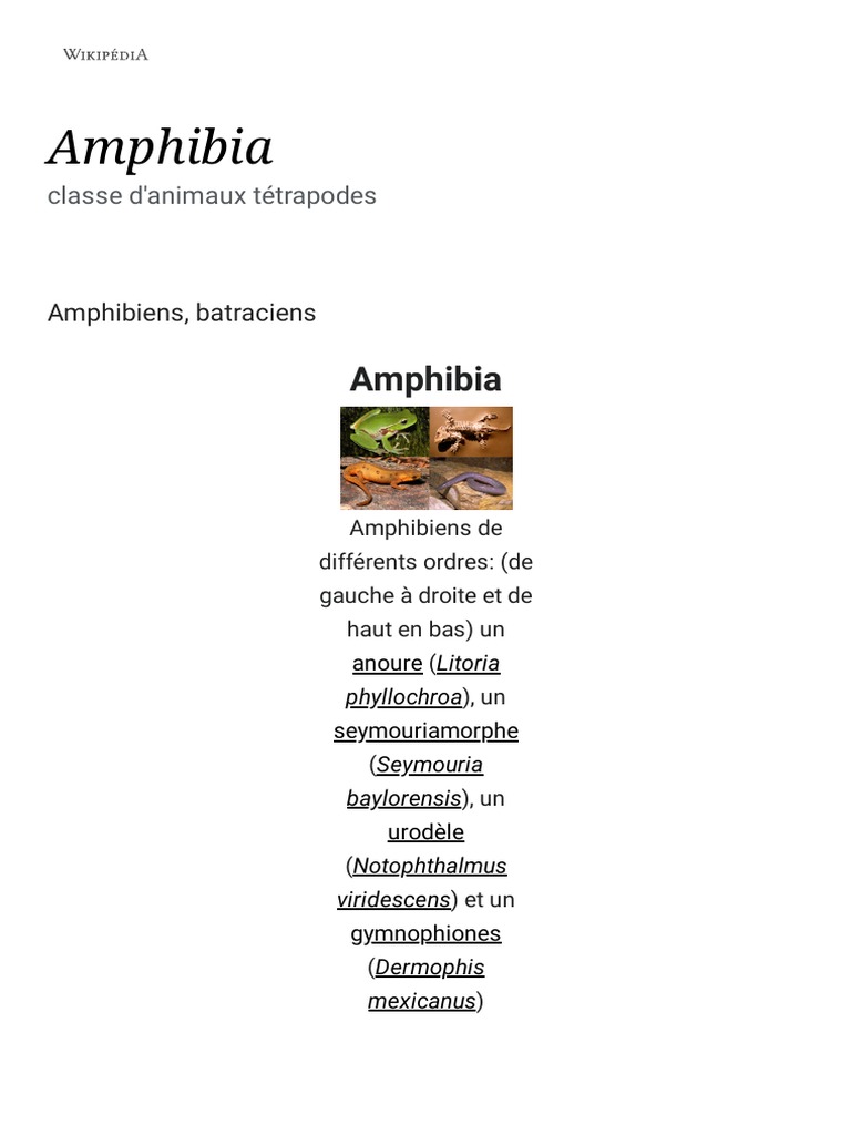 Classification des amphibiens modernes | PDF | Amphibiens | Grenouille