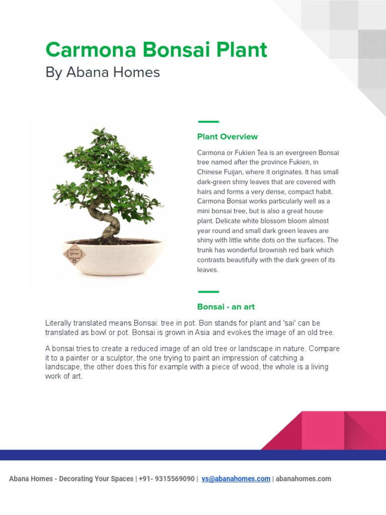 bonsai led lampe Blühender Bonsai-Tischlampe – Tischlampe DE main image 1