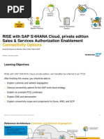 4.3RISE PCE CAA Connectivity - Options - Wave4