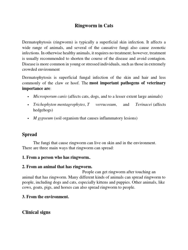 Ringworm in Cats PDF Medical Specialties Immunology