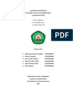 Makalah Sistem Agribisnis-Subsistem Agro-Introduction of Agribisnis-kel-Agribisnis 2b