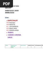Vanguard 3-Year Rabies Vaccine for Pets | PDF | Vaccines | Biology
