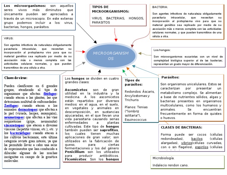 mapa-conceptual1-pdf-virus-las-bacterias