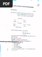 Urea Cycle