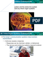 how organ system communicate