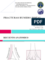 Seminario FHD