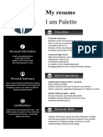 Experienced Senior Resume-WPS Office