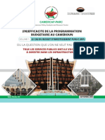 Inefficacité-de-la-Programmation-Budgétaire-au-Cameroun