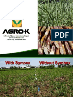 Sugarcane Production With Symbex