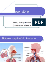 Sistema Respiratório