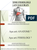Anatomi Fisiologi Sauran Pencernaan