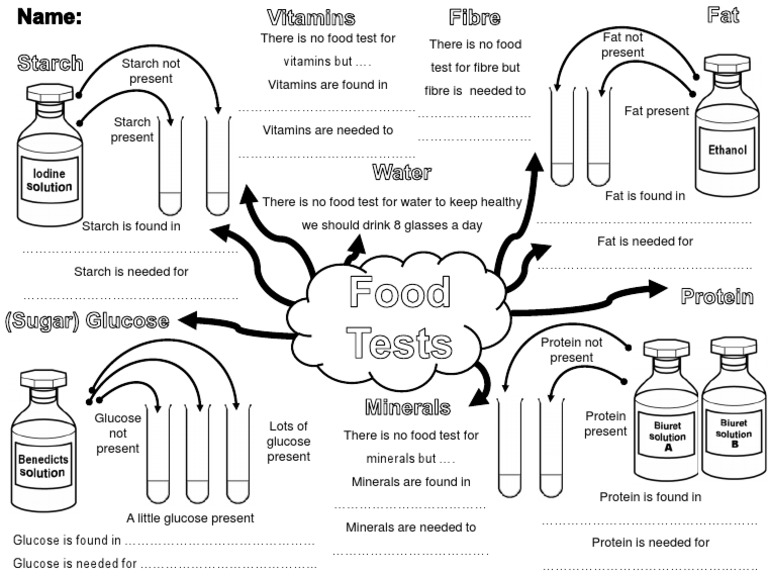 Summary of Food Tests and Nutrients | PDF | Foods | Glucose