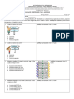 Evaluacion Periodica Periodo 1 Grado 10 Fisica Numerica