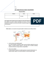 Iiºbiologia - Retroalimentacion Guia Nº8 - 01 Al 05 Junio