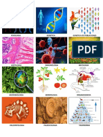 Fisiologia Genetica Genetica de Poblaciones