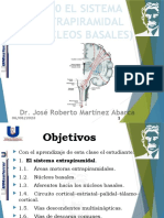 Clase 20. El Sistema Extrapiramidal (Núcleos Basales)