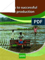 12-Steps-Required-for-Successful-Rice-Production