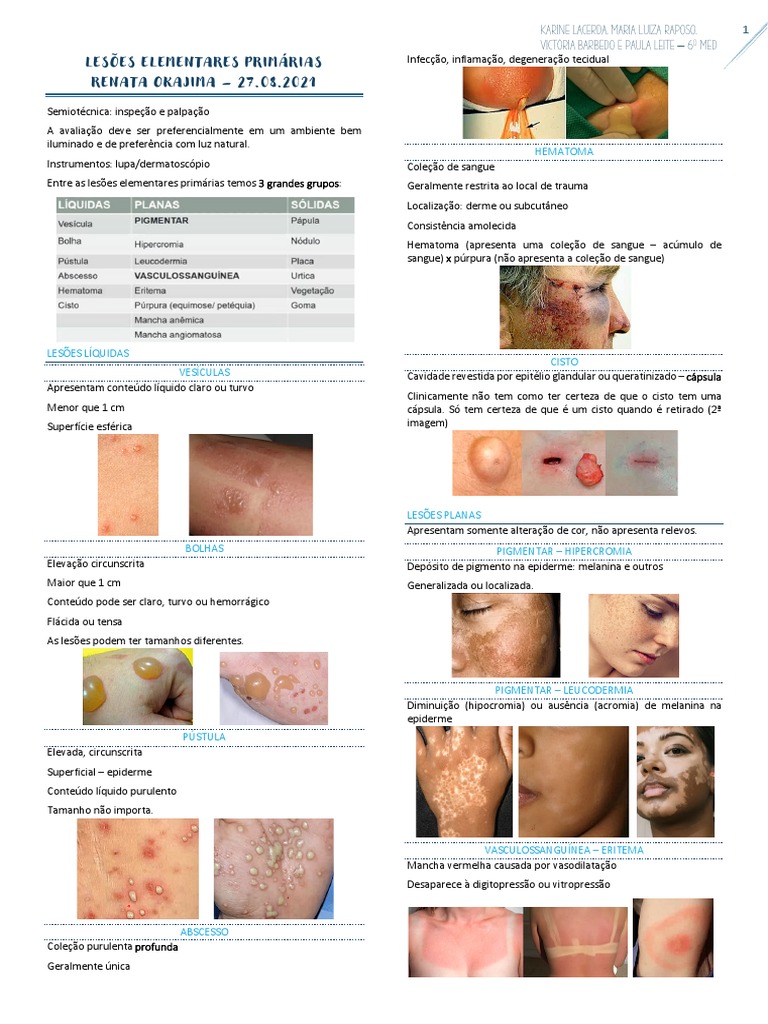 Lesões Elementares Primárias Pdf