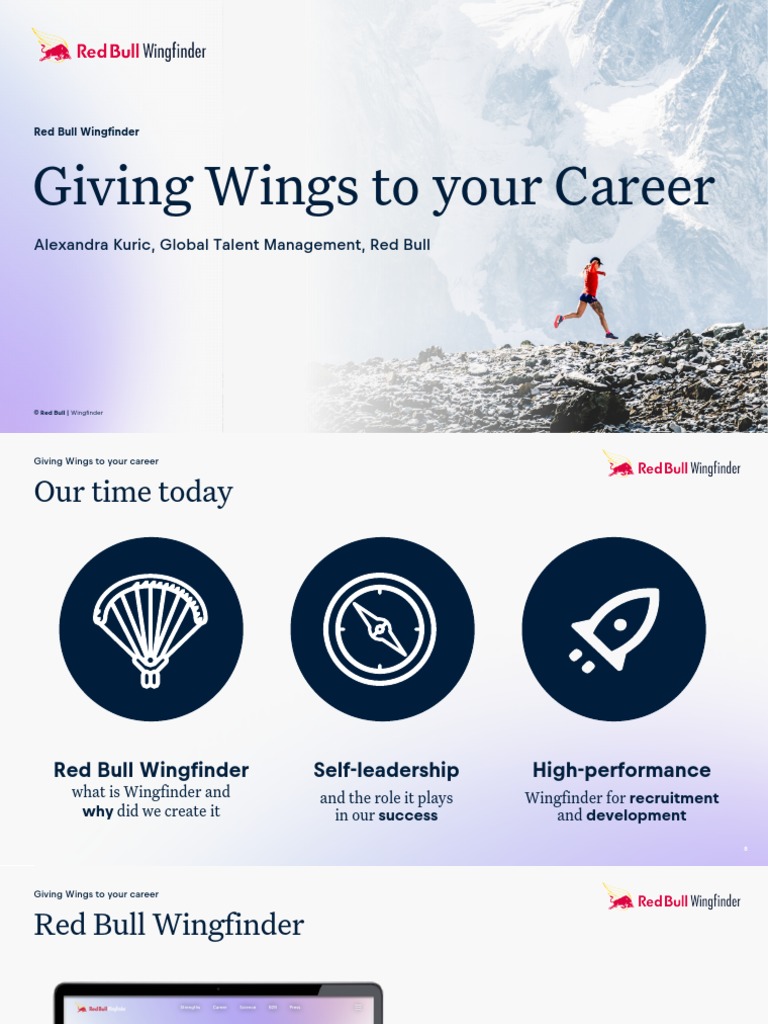 Red Bull Wingfinder: Career Strengths Assessment | PDF | Business | Psychological Concepts