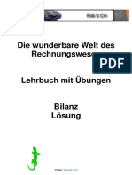 Bilanz Loesung