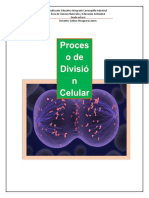Guía Número Cuatro Poceso de División Celular
