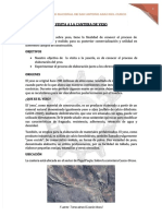 PDF Visita A La Cantera de Yeso Introduccion - Compress