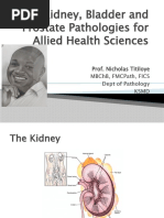 Kidney, Bladder and Prostate Pathology For Allied Health Sciences