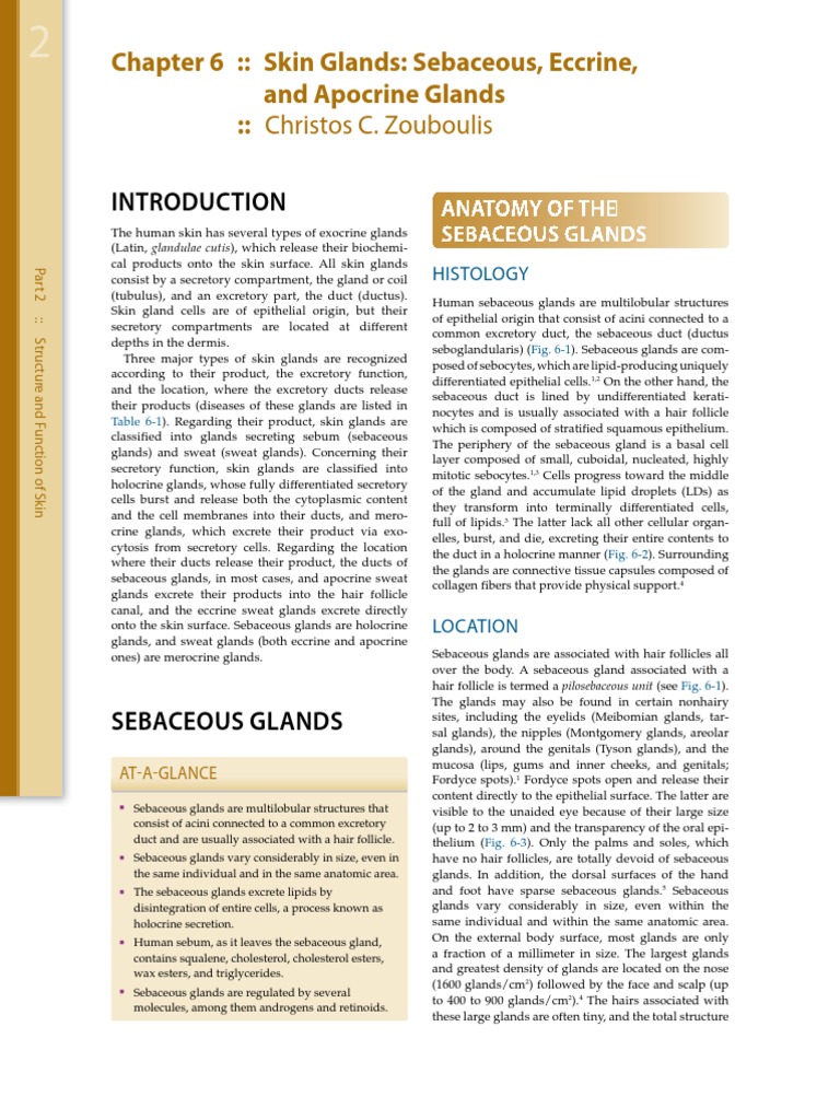 Chapter 6 Fitzpatrick's | PDF | Cellular Differentiation | Skin